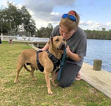 Photo of Scooter (Nora)