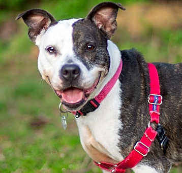 Photo of Samantha