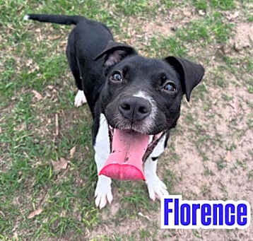 Photo of FLORENCE