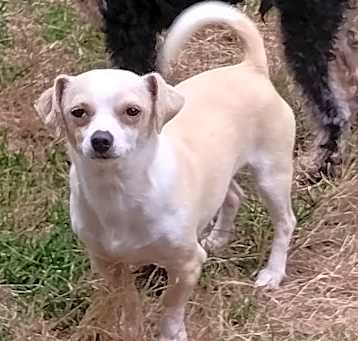 Photo of Quill