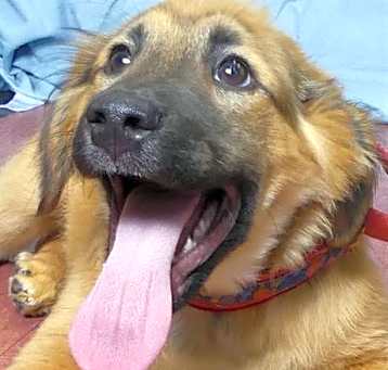 Photo of KIWI