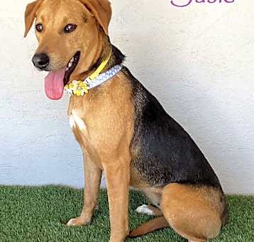 Photo of Susie