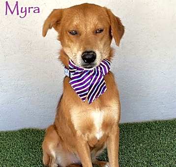 Photo of Myra