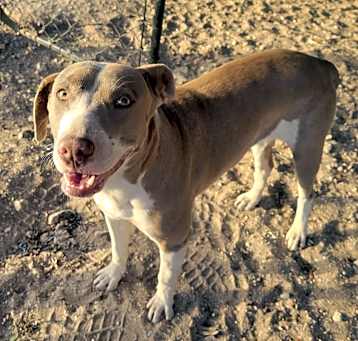 Photo of Carmen
