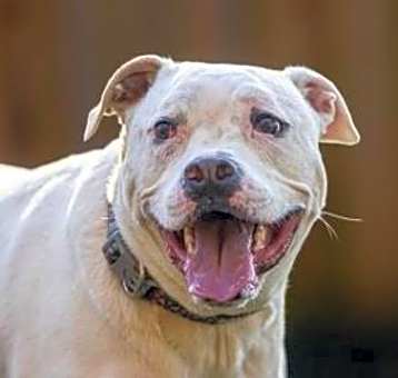 Photo of Casper (I Have a Secret Crush!)