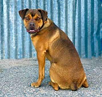 Photo of MAGGIE