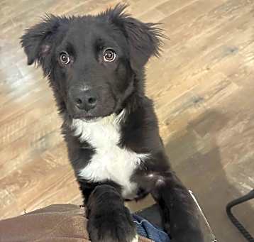 Photo of Tator