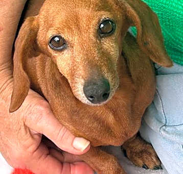 Photo of Alice