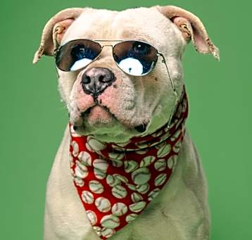 Photo of Ethan Rex
