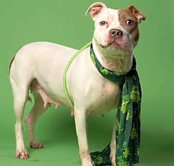 Photo of Loretta