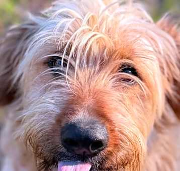 Photo of Bentley