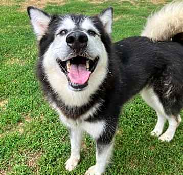 Photo of Thora