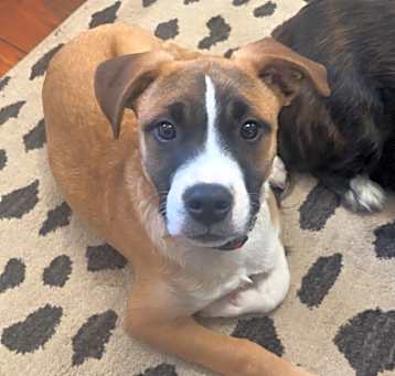 Photo of Lotto