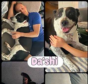 Photo of Da'Shi