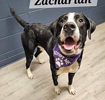 Photo of Zachariah
