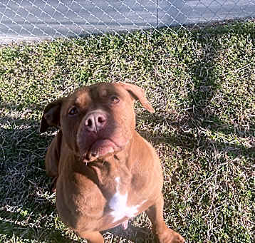 Photo of Diamond