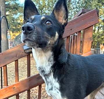 Photo of Maya