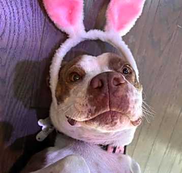 Photo of Flo