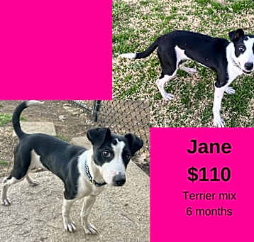 Photo of Jane