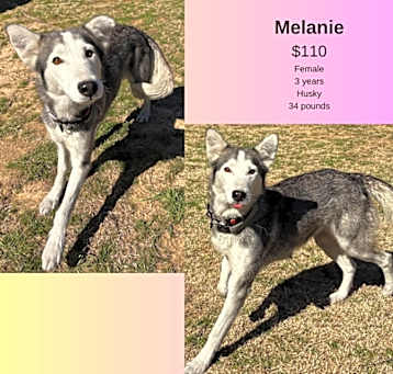Photo of Melanie