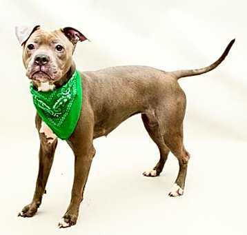 Photo of POSIE