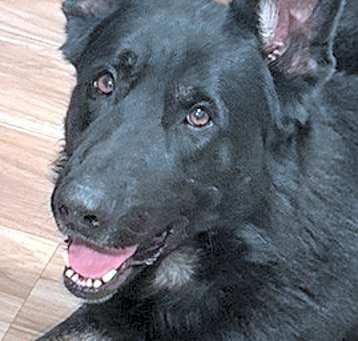 Photo of Klaus