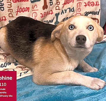 Photo of Delphine