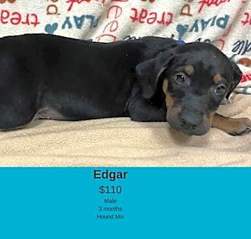 Photo of Edgar