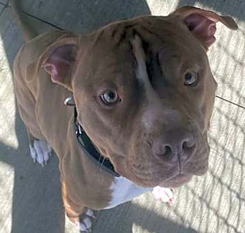 Photo of Reuben