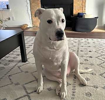 Photo of Thor