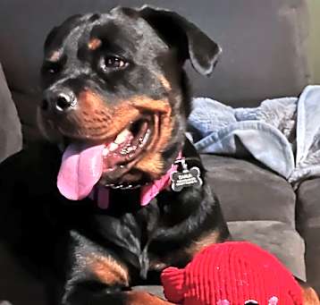 Photo of Darla
