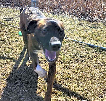 Photo of Winston
