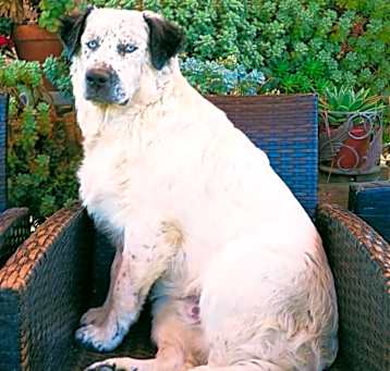 Photo of Miklo