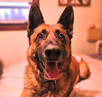 Photo of Major