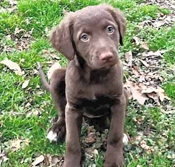 Photo of Tootsie Roll