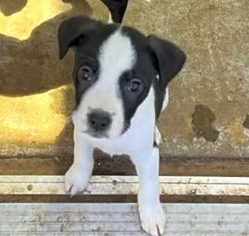 Photo of Jack