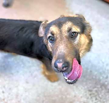 Photo of Lulu