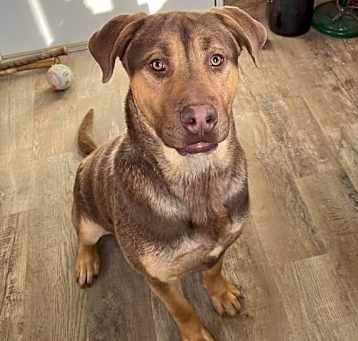 Photo of Jake