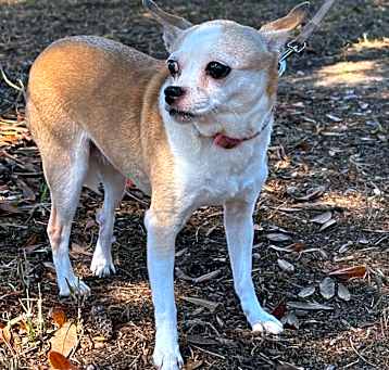 Photo of Jocelyn