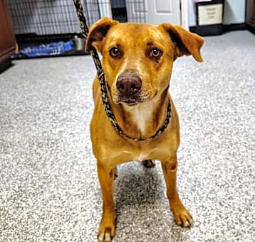 Photo of Holly "Penny"