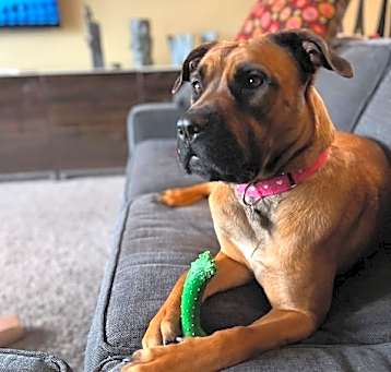 Photo of Heidi