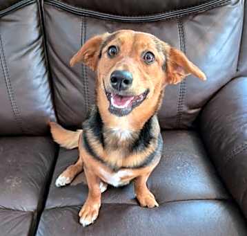Photo of Cassi