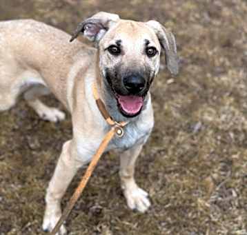 Photo of Peco