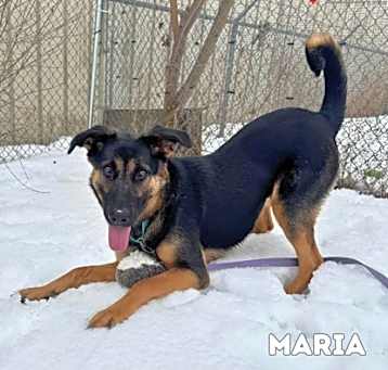 Photo of Maria