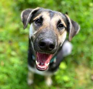 Photo of Stryder