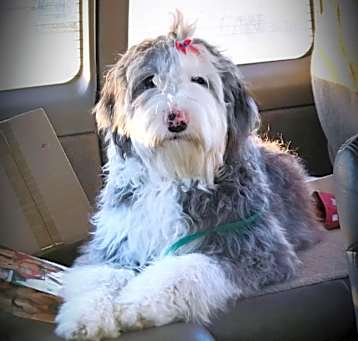 Photo of Annabelle ❤️