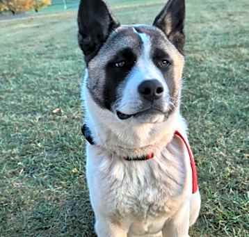 Photo of Kisha