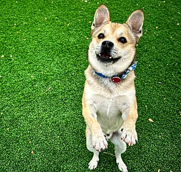Photo of Maverick 