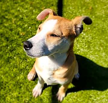 Photo of Penny
