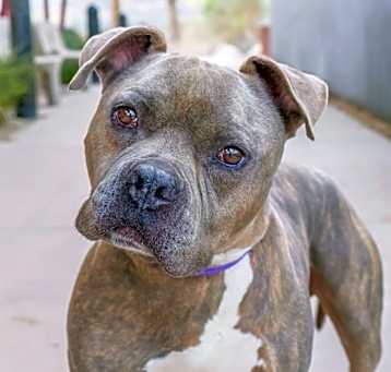 Photo of Teddy